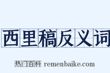 西里稿反义词是什么意思的图片